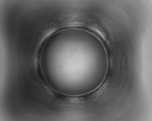 X0000096211405200801181421