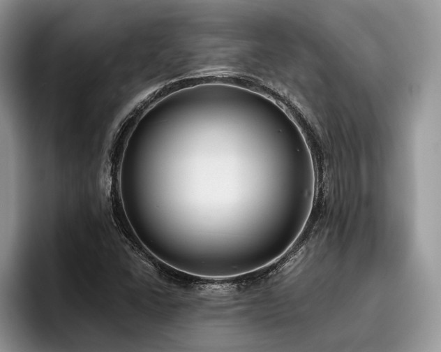X0000096211406200801181421