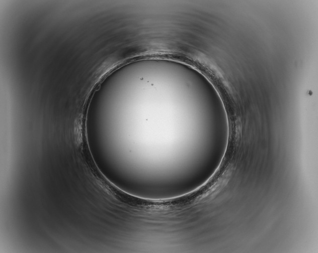 X0000096211409200801181421