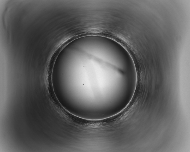 X0000096211410200801181421