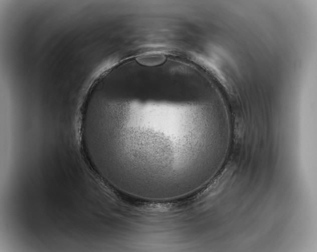 X0000096211411200801181421