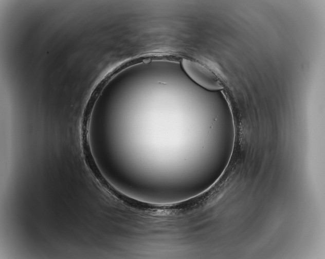 X0000096211412200801181421