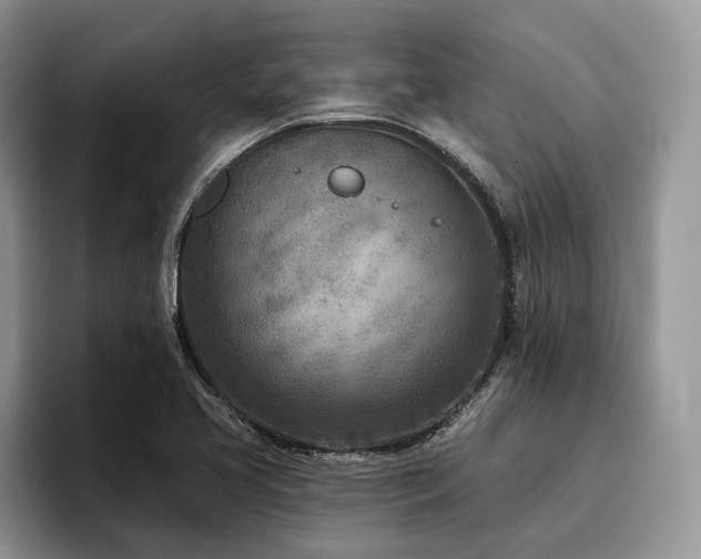 X0000096211413200801181421