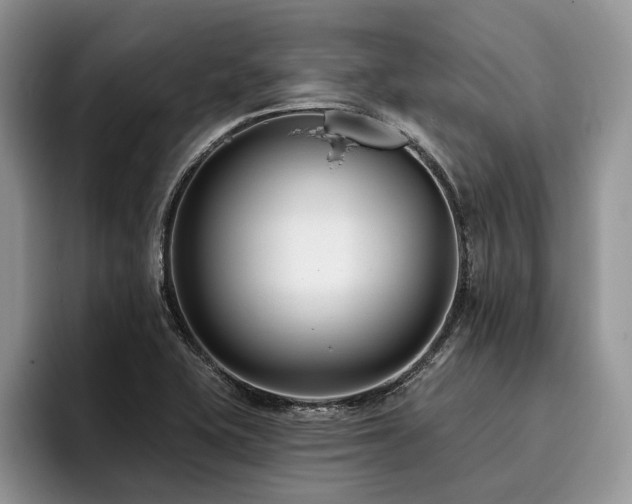 X0000096211415200801181421