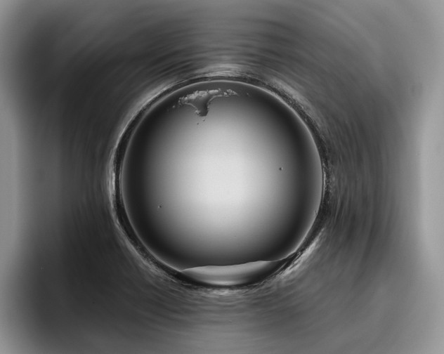 X0000096211418200801181421