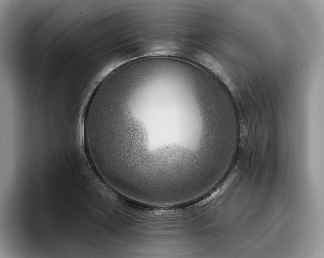 X0000096211419200801181421