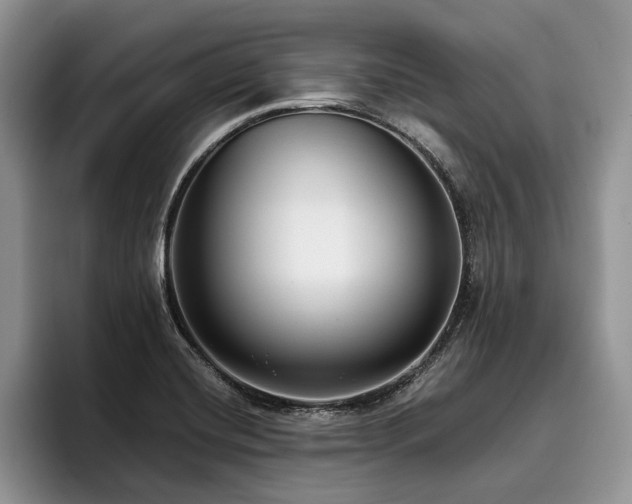 X0000096211420200801181421