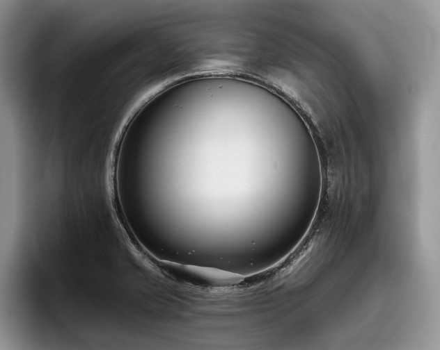 X0000096211421200801181421