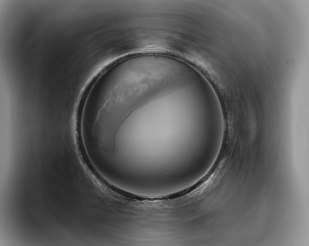 X0000096211422200801181421