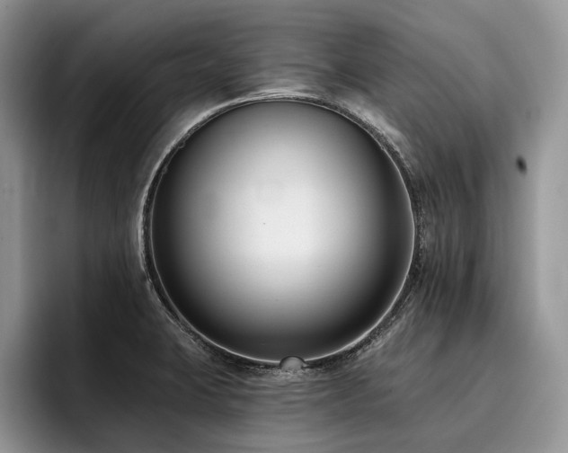 X0000096211423200801181421