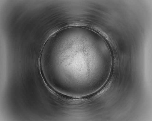 X0000096211425200801181421