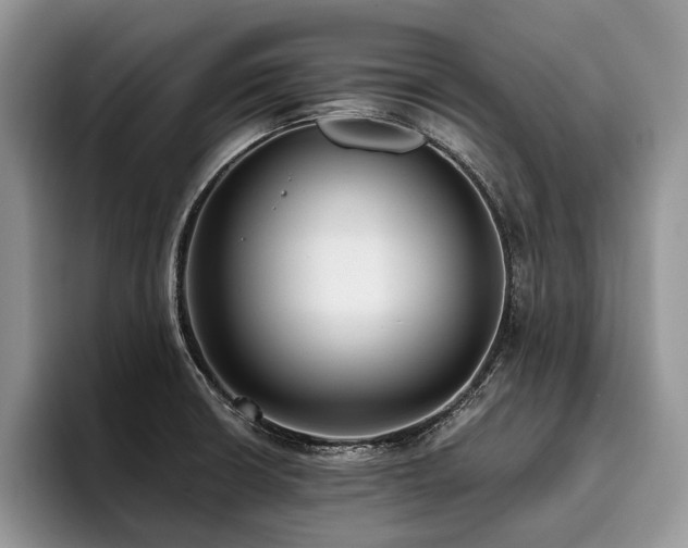 X0000096211426200801181421