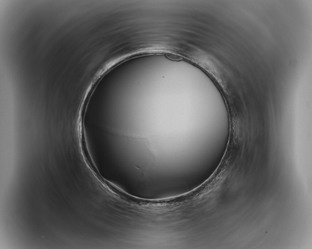 X0000096211428200801181421