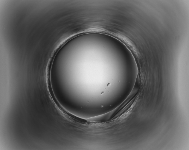 X0000096211430200801181421