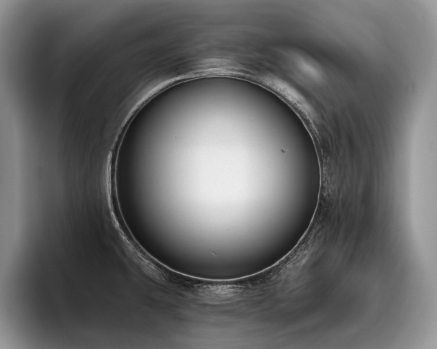 X0000096211431200801181421