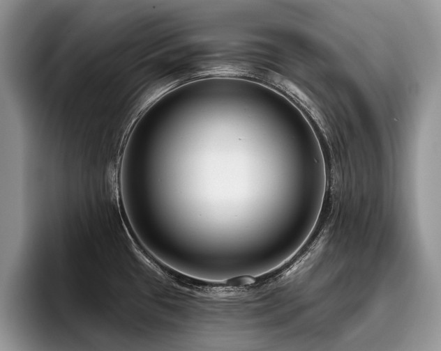 X0000096211433200801181421