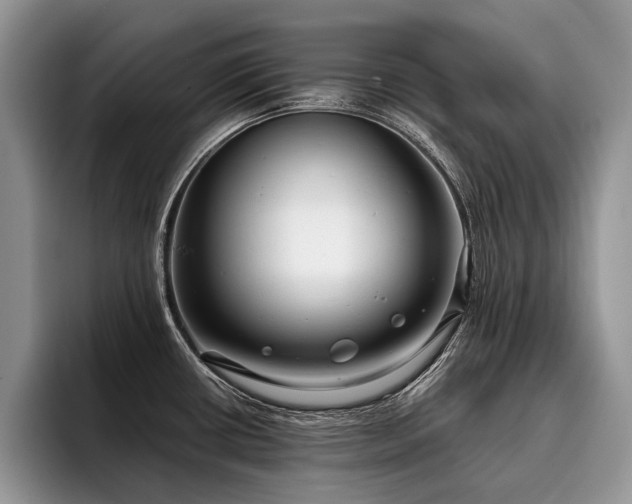 X0000096211434200801181421