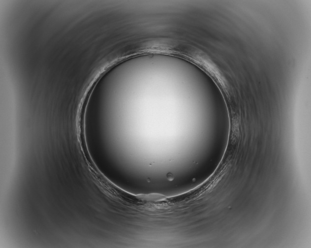 X0000096211435200801181421