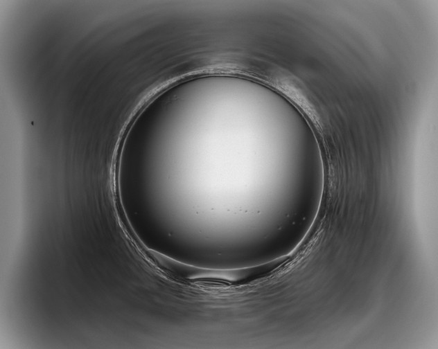 X0000096211436200801181421