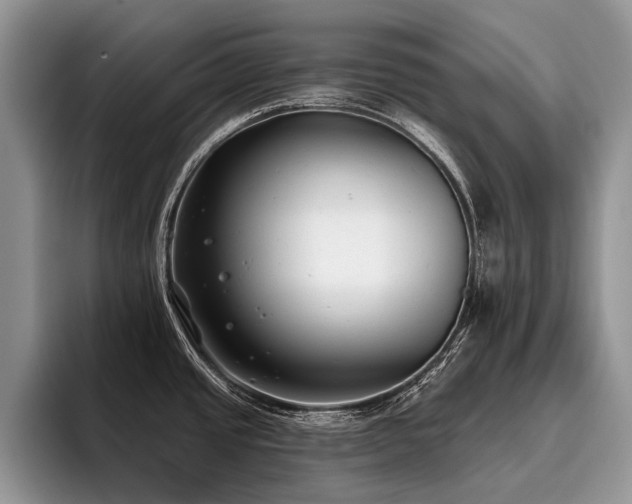 X0000096211437200801181421
