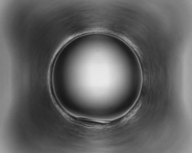 X0000096211438200801181421