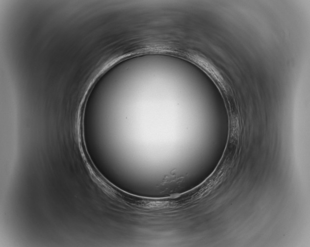 X0000096211439200801181421