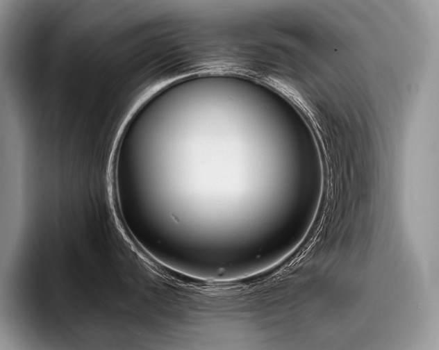 X0000096211440200801181421
