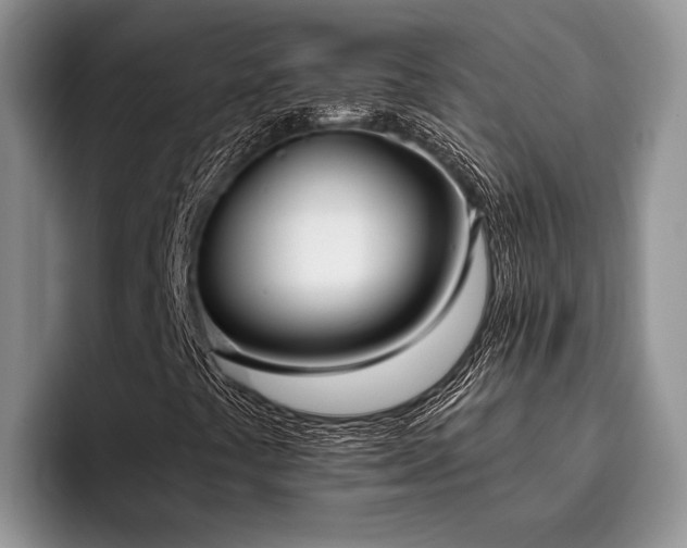 X0000096211441200801181421