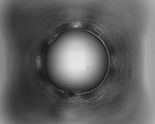 X0000096211442200801181421