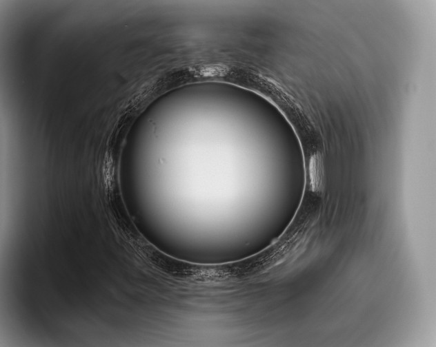 X0000096211443200801181421