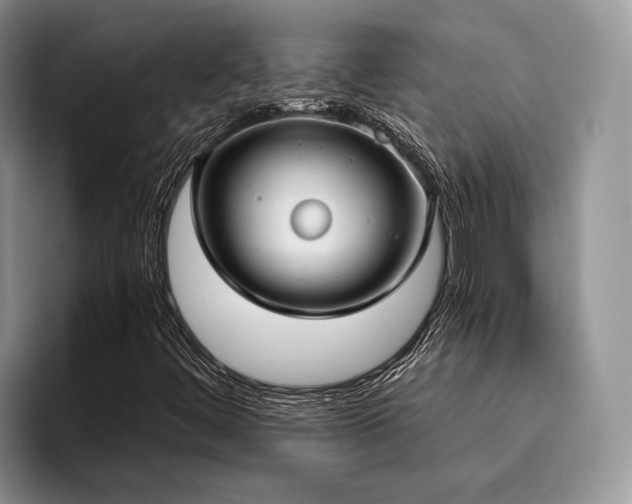 X0000096211444200801181421