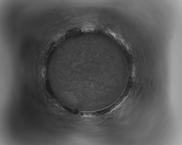 X0000096211445200801181421