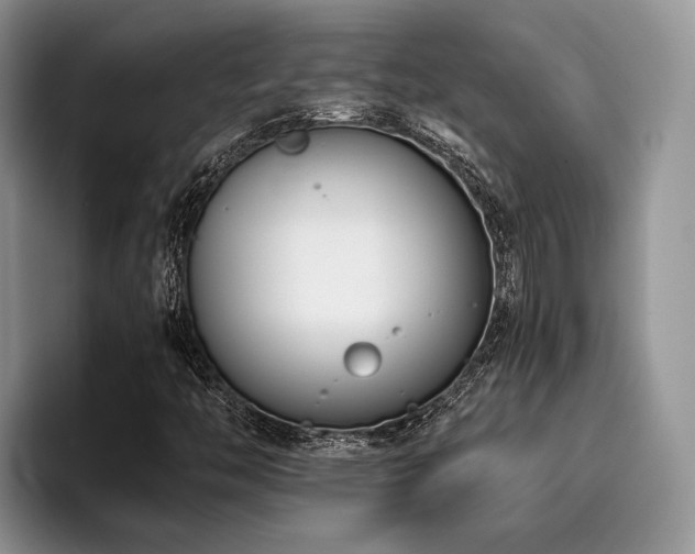 X0000096211446200801181421