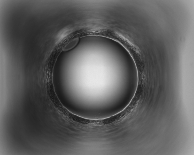 X0000096211447200801181421