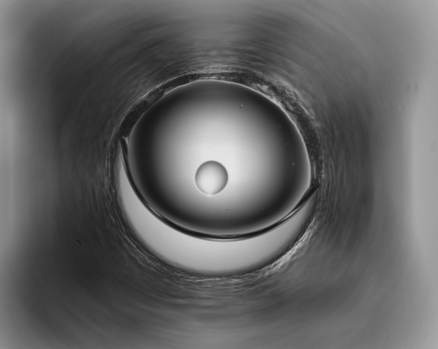 X0000096211449200801181421