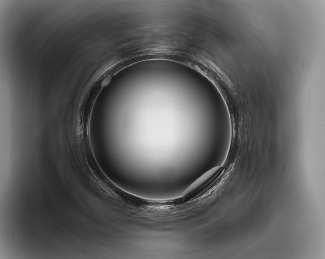 X0000096211450200801181421