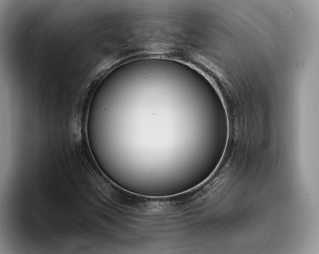X0000096211451200801181421