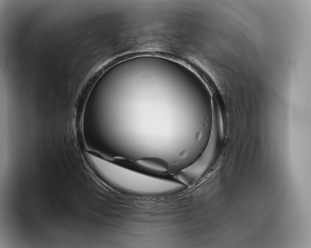 X0000096211452200801181421