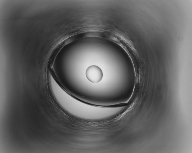 X0000096211453200801181421