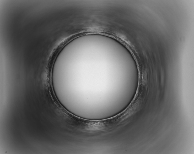 X0000096211454200801181421