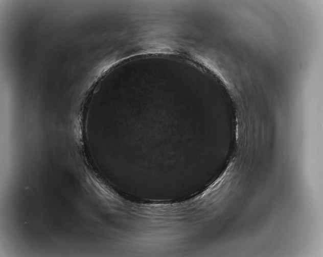 X0000096211455200801181421