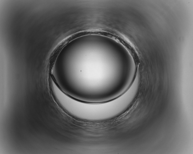X0000096211456200801181421