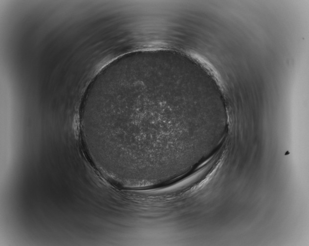 X0000096211457200801181421