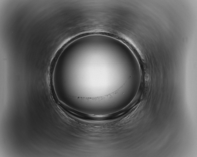 X0000096211460200801181420