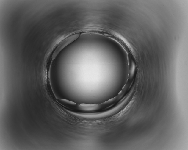 X0000096211461200801181420