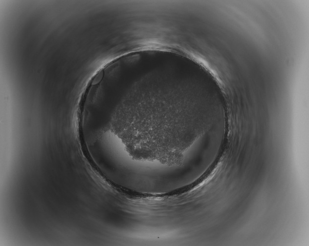 X0000096211463200801181420