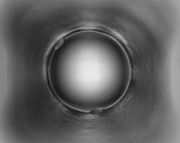 X0000096211464200801181420