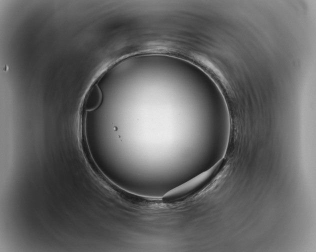 X0000096211467200801181420