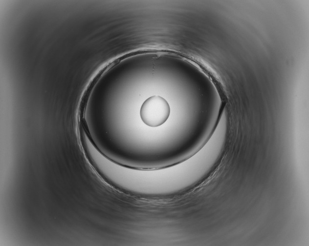 X0000096211468200801181420