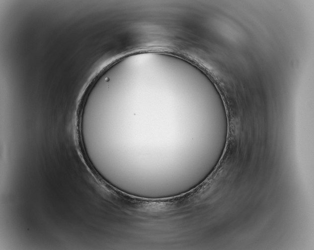 X0000096211470200801181420